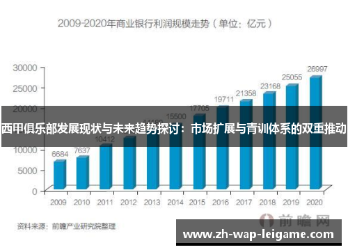 西甲俱乐部发展现状与未来趋势探讨：市场扩展与青训体系的双重推动