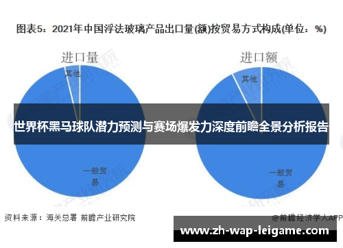 世界杯黑马球队潜力预测与赛场爆发力深度前瞻全景分析报告 世界杯黑马球队潜力预测与赛场爆发力深度前瞻全景分析报告