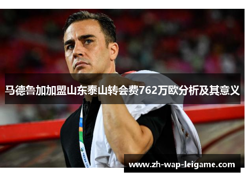 马德鲁加加盟山东泰山转会费762万欧分析及其意义 马德鲁加加盟山东泰山转会费762万欧分析及其意义